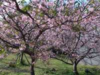 https://images.plurk.com/4HLrV4qih93wkcxPKk8cUp.jpg
