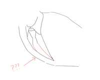 https://images.plurk.com/4HNf7YfqMMOaC2VfWtI3Zx.jpg