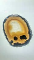 https://images.plurk.com/4HPHgktyRw6mZGhnHKQHth.jpg