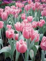 https://images.plurk.com/4HWS1JGD94UwPMi5865Hy8.jpg