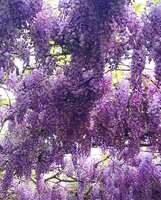 https://images.plurk.com/4HWYODCxycM1Wx02pKqCJL.jpg