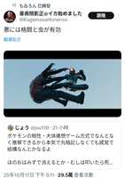https://images.plurk.com/4HYCCtr6yjMRML7V0kvvU5.jpg