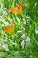 https://images.plurk.com/4HejiyNoc2GZM53rk1p8jY.jpg