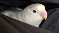 https://images.plurk.com/4HqlKx2rdcx7DAPgpxN9p0.gif
