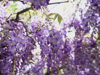 https://images.plurk.com/4I0kcSYZyamiccY9Hnm18o.jpg