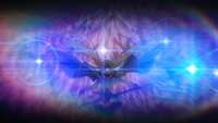 https://images.plurk.com/4IDEehbuEMXMw36cd47EEa.jpg