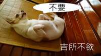 https://images.plurk.com/4IT9ejMgFMAPJ7wh6gOUog.jpg