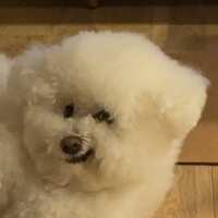 https://images.plurk.com/4IU5XlNMkpciNxNwOEJ51A.jpg