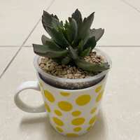 https://images.plurk.com/4IWEmb0Xlwj9VDHIE7G2sD.jpg