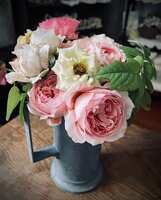 https://images.plurk.com/4IZx9b9zIUk3idgBxrPATe.jpg
