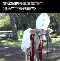 https://images.plurk.com/4IaqR5CzcXXLEi0IsiVbcT.jpg