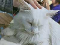 https://images.plurk.com/4IcSX8j8hmLRoO7mbjdgnR.jpg