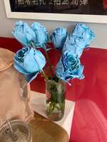 https://images.plurk.com/4IfOmBKXxjwXQoE8VlYSLp.jpg