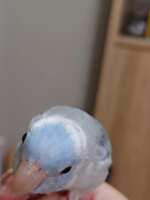 https://images.plurk.com/4IierGz1JT0vgLqs7xud94.jpg
