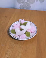 https://images.plurk.com/4IjTColg1CGpnXiqFSwJKV.jpg
