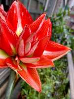 https://images.plurk.com/4Ijlw5xQu7dtqAPmhxBw7i.jpg