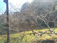 https://images.plurk.com/4Ike9zR4VmM9grztMsahGx.jpg