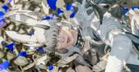 https://images.plurk.com/4IzBchydKDCsqax5F25VWc.png
