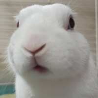 https://images.plurk.com/4J1OsiePdbct3BZmZoGDJQ.jpg