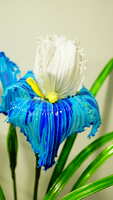 https://images.plurk.com/4J54JEPCsnt66zUEqByu8Y.jpg