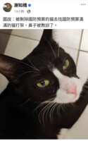 https://images.plurk.com/4J6COGzk2FZHRLVg0R1u2Y.png