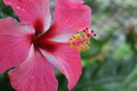 https://images.plurk.com/4JDNJ7VdTU3ZbwTH5y93XL.jpg
