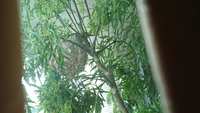 https://images.plurk.com/4JSXqRHBsS9H1TWqmpYR.jpg
