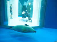 https://images.plurk.com/4JZHuzH3Ccr6kS1n4m0ABB.jpg