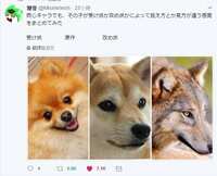 https://images.plurk.com/4JZXsucw0U3mNG3OXfQyfo.jpg