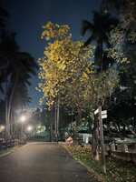 https://images.plurk.com/4JdBgBYO6PjY4tEQLfpcY5.jpg