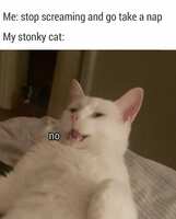 https://images.plurk.com/4Jj4Gku1r8K2IPgLmQ5DUM.jpg