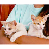 https://images.plurk.com/4Jk3Tpt4WNRNOjGygchIoA.jpg