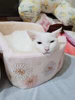 https://images.plurk.com/4JtBsd8lnLtTeIy8rXz2d6.jpg