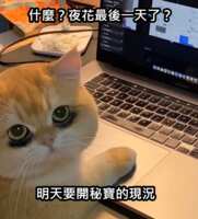 https://images.plurk.com/4JyvDBl6MlOaQFtNWJBlFs.png