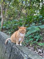 https://images.plurk.com/4K0we0bFJzTOqQDZHgfcsJ.jpg
