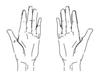 https://images.plurk.com/4KJaFQZyD1Ye6WC2qOeGWf.png