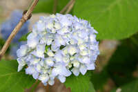 https://images.plurk.com/4KMNo6kP8wUMsd3FKFysQ9.jpg