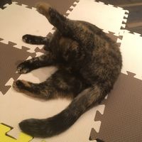 https://images.plurk.com/4KPQrGtKt0LFyfuPLmPz3h.jpg