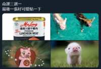 https://images.plurk.com/4KVLQ283UwYKoqw6GFD59S.png
