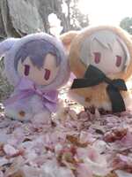 https://images.plurk.com/4KbVsffKdcgXx2UpDSdtV3.jpg