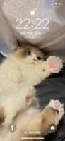 https://images.plurk.com/4Kw1C9Pa2sRfS4o4ghANBV.png