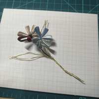 https://images.plurk.com/4L0v6trLee7C0UT9LW3weI.jpg