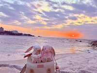 https://images.plurk.com/4L10fd1Gy2ndt1qcInPFCY.jpg