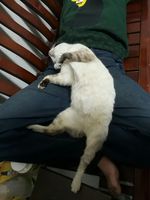 https://images.plurk.com/4L19dcbCN9VdU6lCno7mvZ.jpg