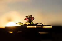 https://images.plurk.com/4LFpk09cKUqAaN54jue916.jpg