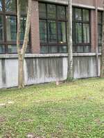 https://images.plurk.com/4LIsPWOQF9SYln2dfG1RzE.jpg