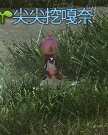 https://images.plurk.com/4LOE1moWabBbUzGQA1yN1P.png