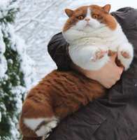 https://images.plurk.com/4LSEQykI2Ypb66BrHzQCgT.jpg