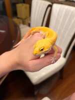 https://images.plurk.com/4LW13tzAF8AU9G7ruHfMlU.jpg