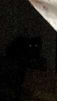 https://images.plurk.com/4Ld8c3IGNgf8NnOpSgieGg.jpg